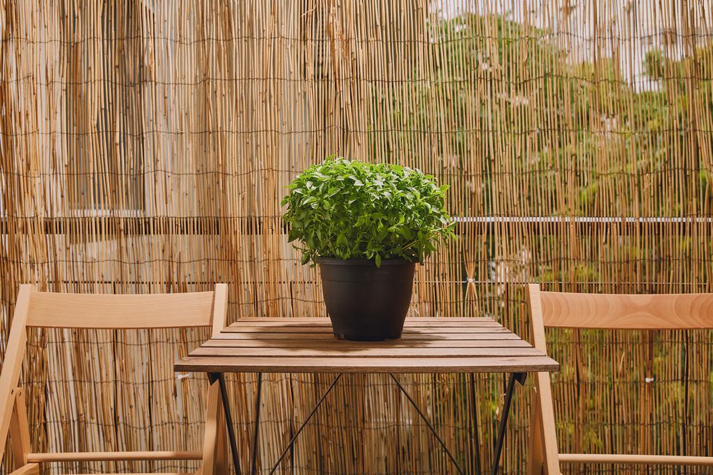 Modern And Cozy Apartment In The Centre Of 아테네 외부 사진